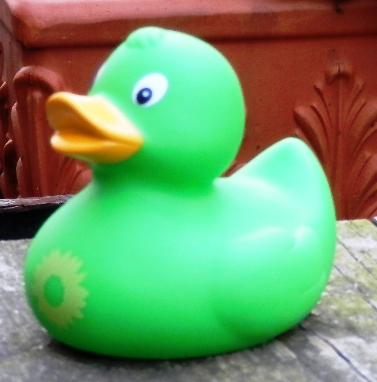 Willkommen grüne Badeente!