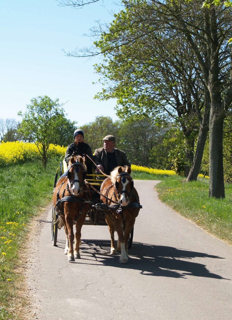 Mobiler Wahlkampfstand in Wankendorf