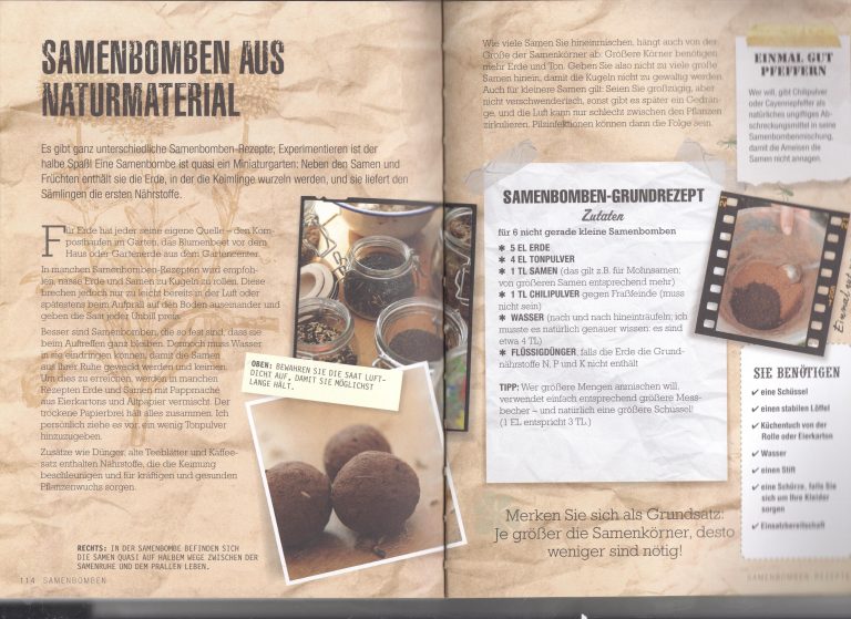 Grünes Café – Wir basteln Saatbomben