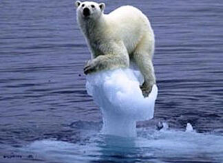 Grünes Café mit Klimaschutz-Vortrag