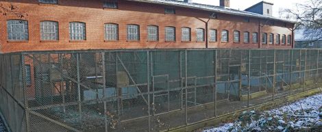 Resolution gegen Tierversuche