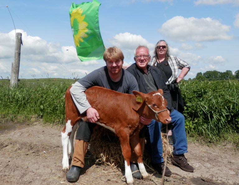 Kommunalwahlprogramm Stolpe 2013