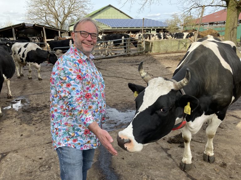 Eine super Grünen Wahl im Kuhstall