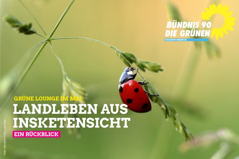 Landleben aus Insektensicht – Rückblick Grüne Lounge im Mai