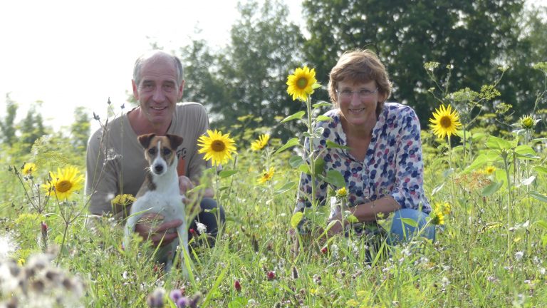 Untersuchung der C.A.U. Kiel über Blühwiesen
