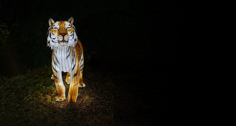 Nimm teil an der Earth Hour 2022