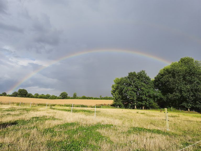 Wankendorfer Randgebiete