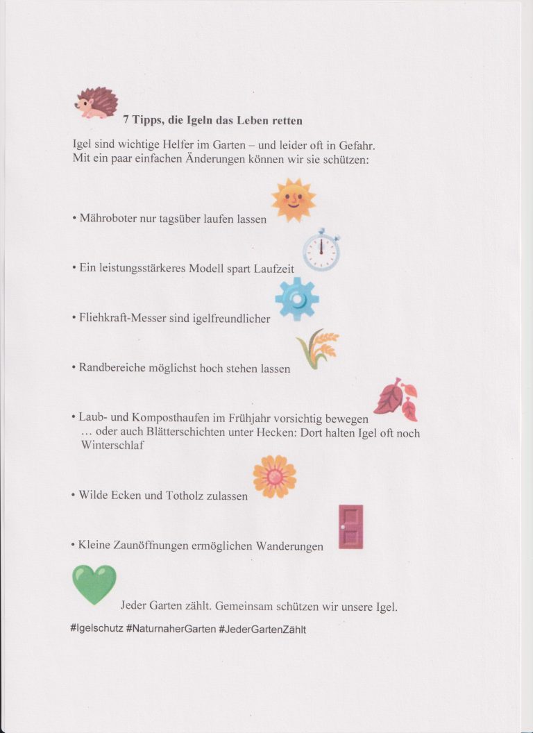 7 Tipps, die Igeln das Leben retten